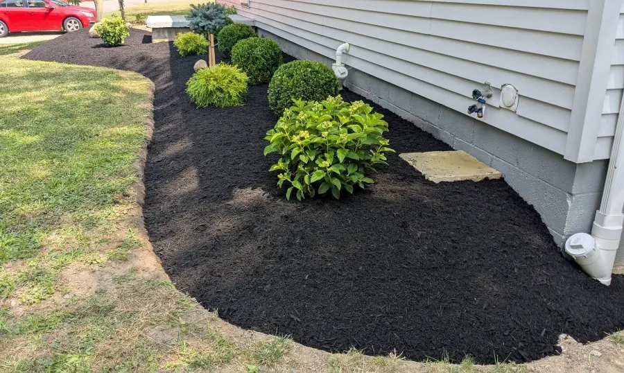 Landscaped front yard near Orchard Park, NY