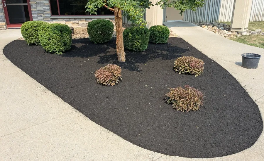 Mulched landscape beds in Lancaster, NY