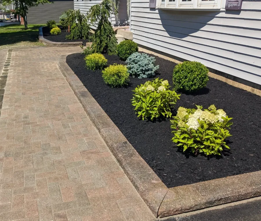 Mulch beds and lawn restoration in Western New York