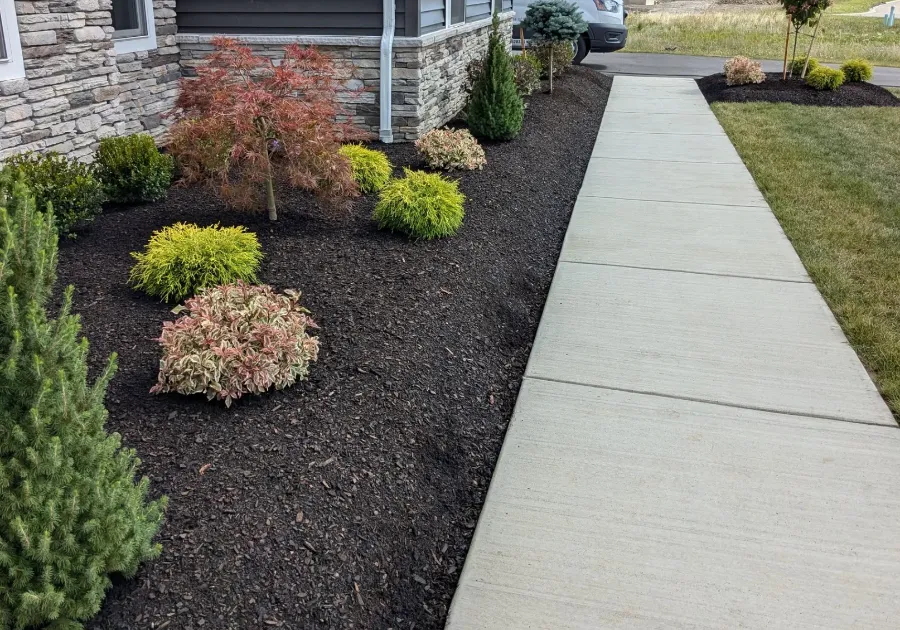 Shrubs and walkway at a stone-front house in Hamburg, NY