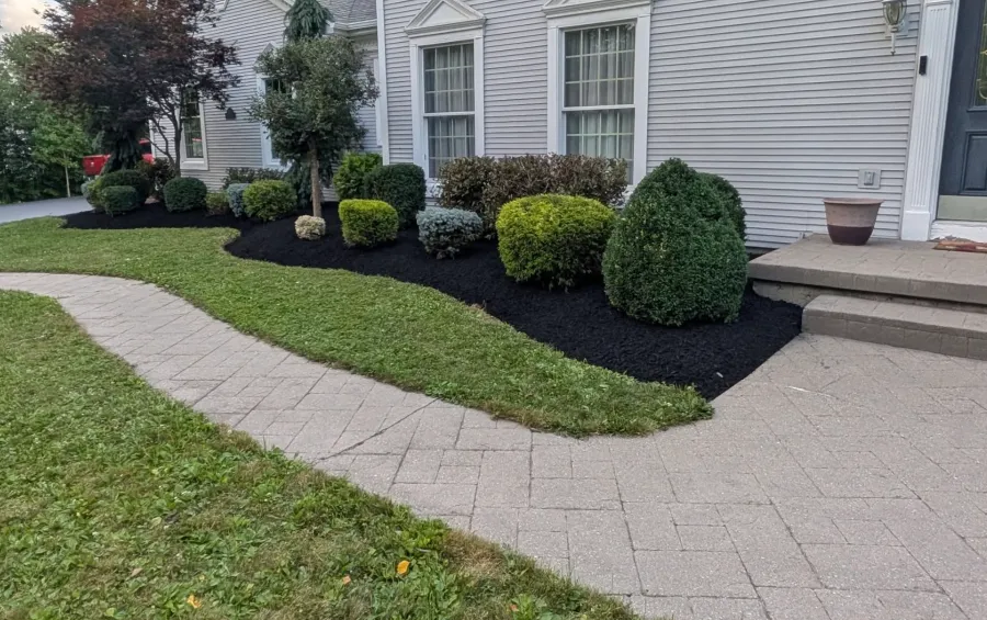 Foundation beds with trimmed shrubs, edging and new mulch
