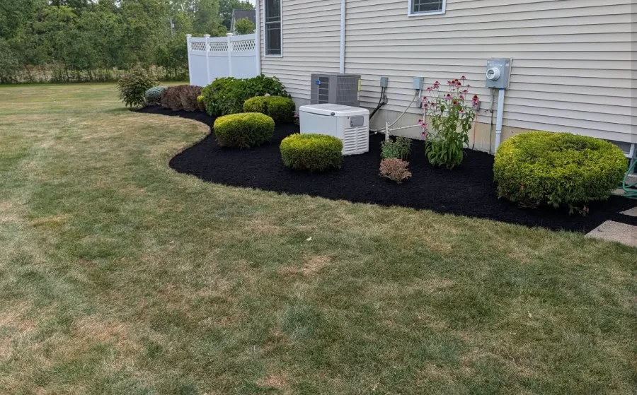 Cleaned and mulched foundation bed at a Grand Island, NY home
