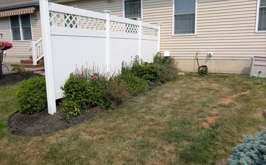 Overgrown landscape bed before cleanup in Grand Island, NY