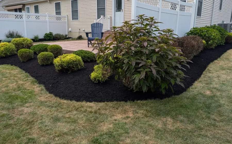 Renovated bed with black mulch, shrubs and ornamental plants in Grand Island, NY