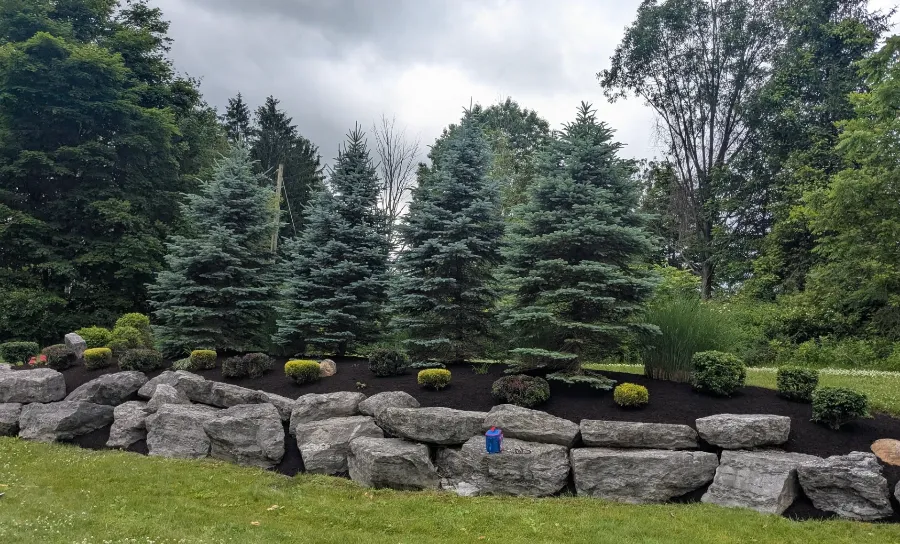 New landscape installation in West Seneca, NY
