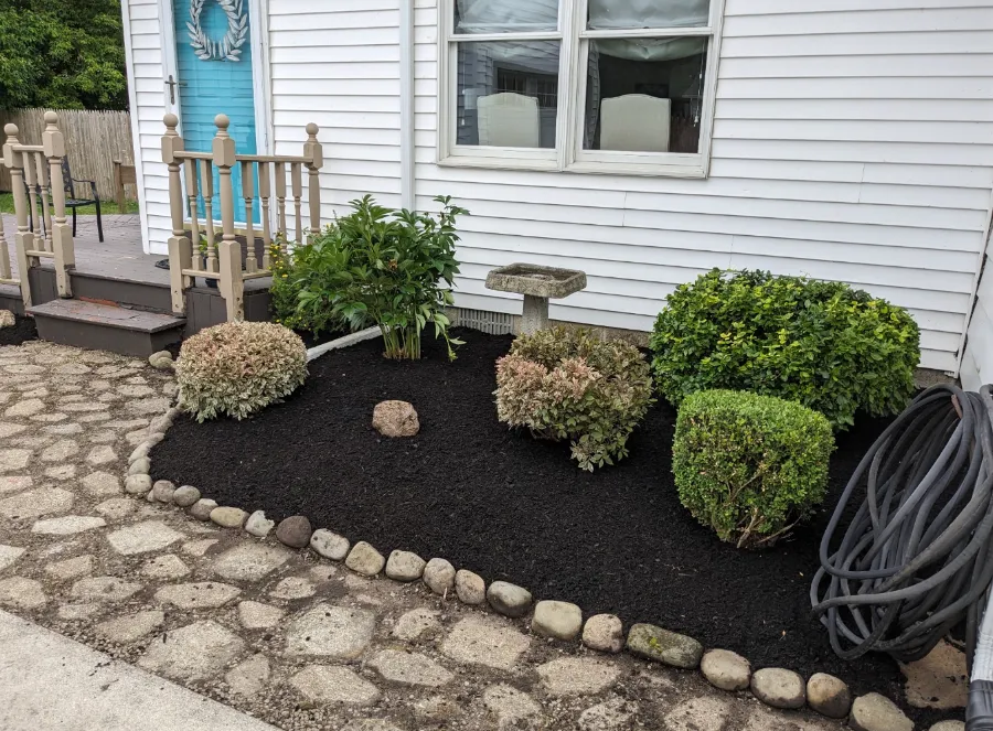 Front yard after maintenance in Orchard Park, NY