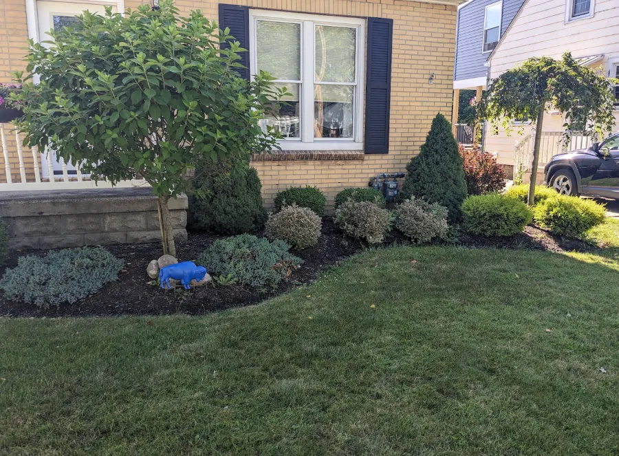 Landscape beds before maintenance in West Seneca, NY