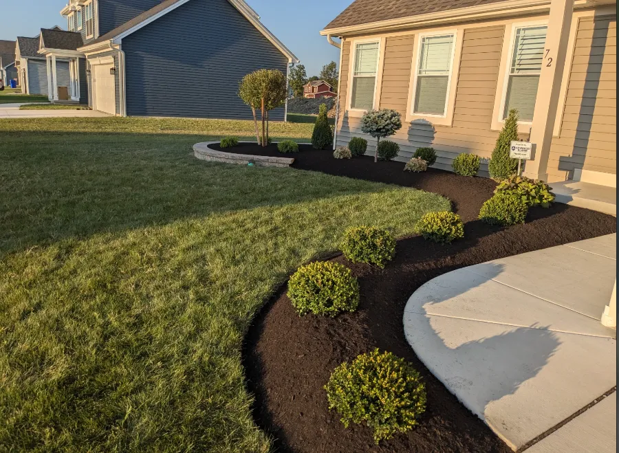 Maintained landscape beds in West Seneca, NY