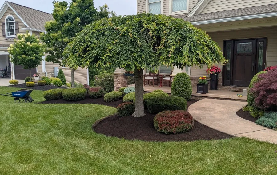 Landscape project in progress in West Seneca, NY