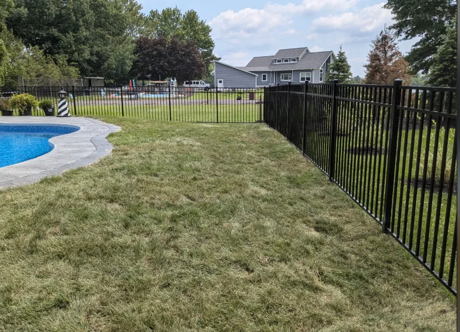 Lawn after seeding in East Aurora, NY